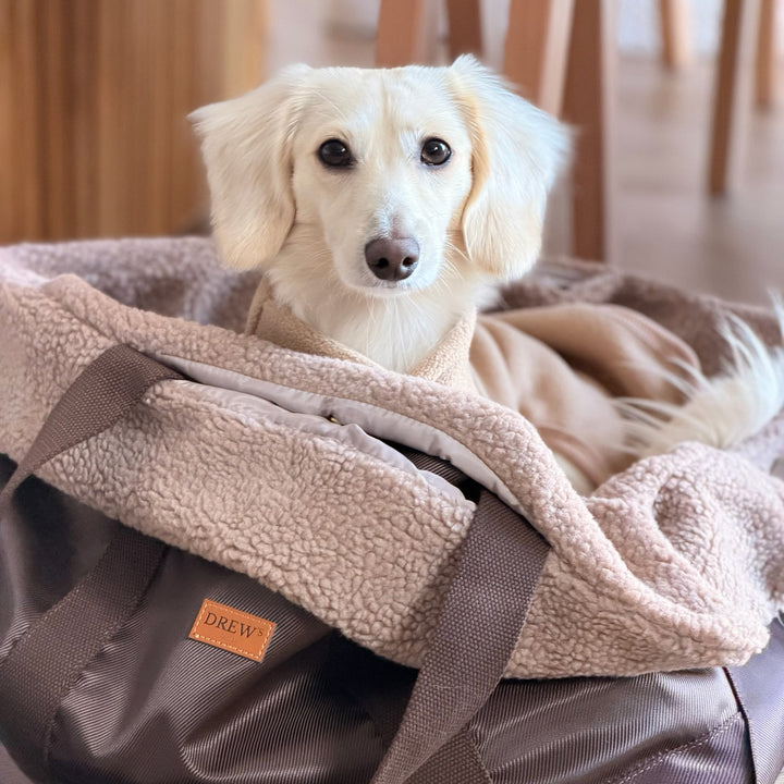 Cali / Hundetaske med teddy inderfor (2026)