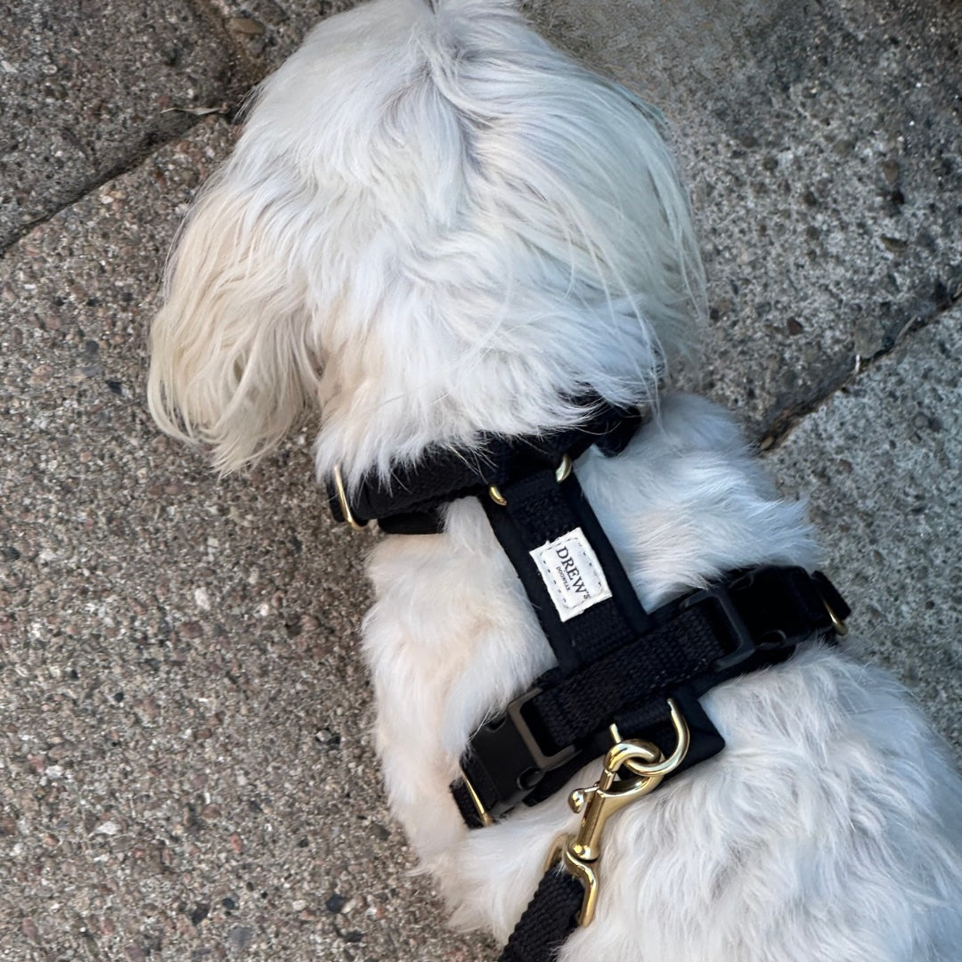 Black PRO / Adjustable dog harness (Black)